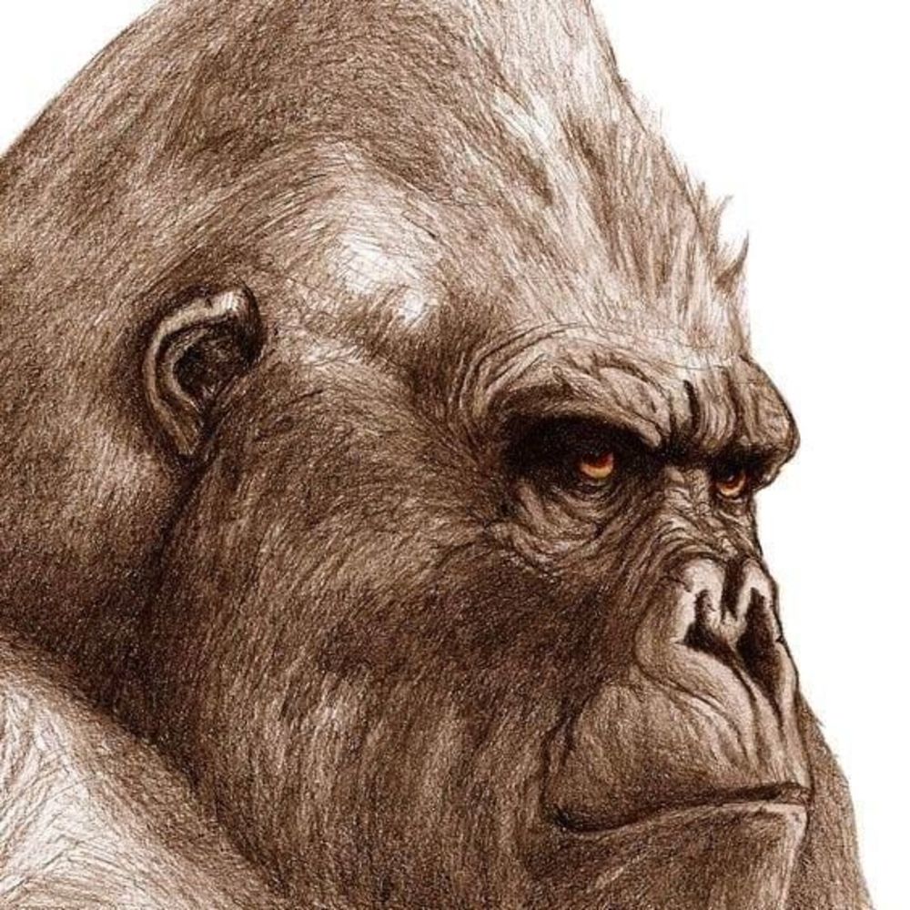 Meet your Posher, Armen